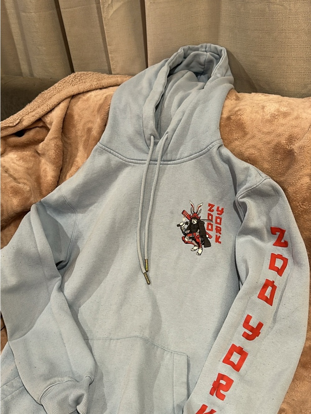 Zoo York Light Blue Hoodie with Red Sleeve Lettering